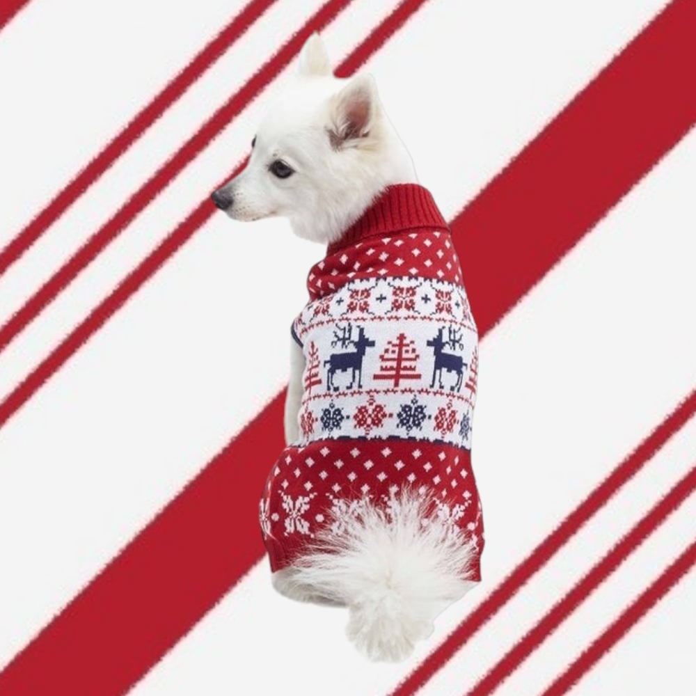 🐾Pet Holiday Family Matching Sweater in Tango Red, NWT